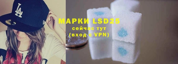 стафф Михайлов