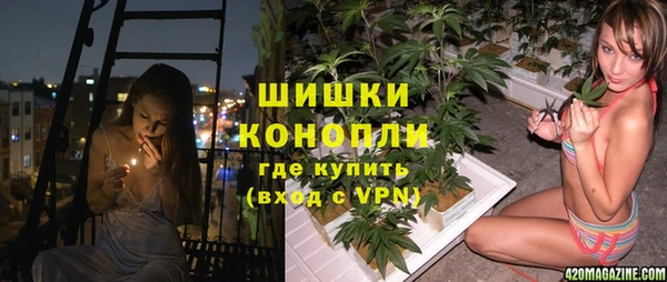стафф Михайлов